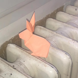 新年特辑|跟朋友们聊聊天