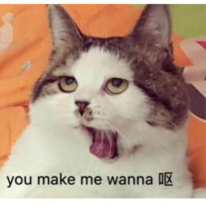 Y. 小赵离职后记 —— 前司的獠牙。