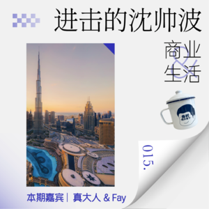 Vol.15 出海中东的避坑指南，一定要抛开富贵滤镜！