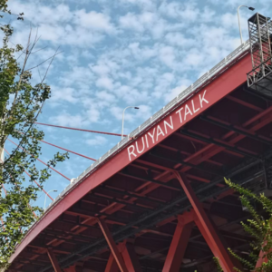 9. 女生独立之路上的性别焦虑