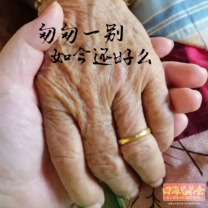 匆匆一别，如今还好吗？-四海兄弟会179