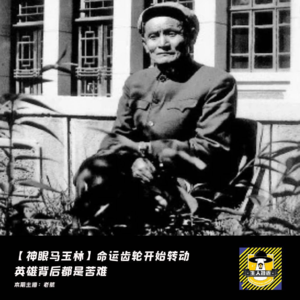 【国内神探马玉林】（7）从饭都吃不饱的放羊娃，逆袭成国内顶级的刑侦大佬