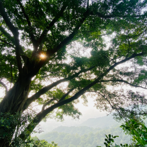 06 觉醒时刻：那些可能改变我们人生轨迹的Aha Moment