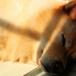 S2E8 信：如果想我们，欢迎随时回来