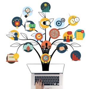 2024年1-4月｜Part 3 自己学习和向别人学习技能有什么区别？