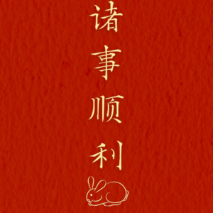 020.【聊聊过年】为什么现在的年轻人不爱过年了？ 