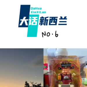 No.6 新西兰在岗青年的投资秘密