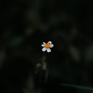 【深夜电台】致敬为民生和社会灾难发声的人