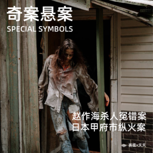 奇案悬案第十五期：《赵作海杀人冤错案》《日本甲府市纵火案》