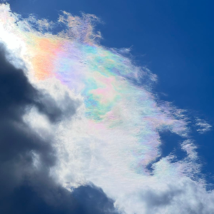 EP009 学会迎接死亡,才是拿到人生的入场券