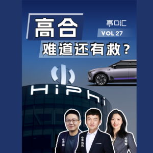 EP.27 差一点入职高合？内部视角看，高合汽车的得失与后果