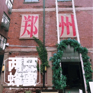 cover of episode Vol.30 郑州游记（LiuShuiZhang）