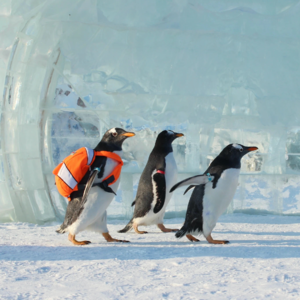 Vol.26 冬季到哈哈哈哈尔滨来看雪 ！超超超超长旅行攻略！