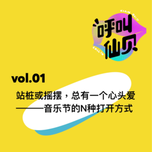 vol.01站桩或摇摆，总有一个心头爱----音乐节的N种打开方式