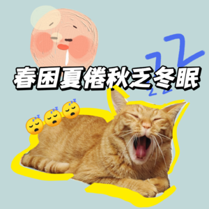 日常｜06.春困夏倦秋乏冬眠，为啥这么容易困？