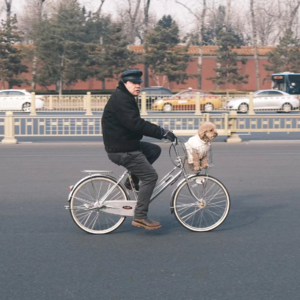 特刊·止庵：向八十年代的失败致意