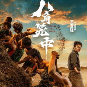 【No.49 八角笼中】王宝强的用心之作，也就如此