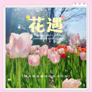 花遇🌸EP01  一个人的“好天气”