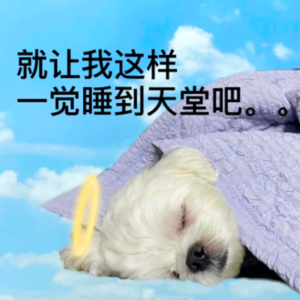 Vol.27 我不想干啦，原地退休吧