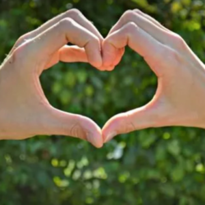 Vol.06 新冠成人们感情的试金石？