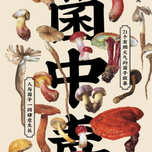 Vol.047 《菌中毒》:特别版孤独星球,别样菜谱中的云南生活