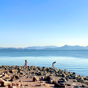 高敏感人群治愈指南