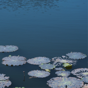 21. 我们怎样看待真诚和偏见