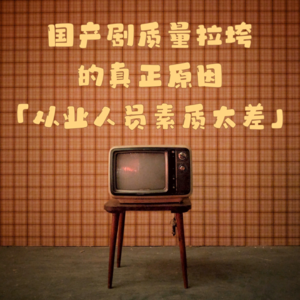 03 继续暴论国产剧质量拉垮的真正原因：从业人员素质太差！