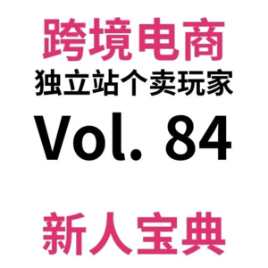 Vol84.手把手教你跨境电商独立站SEO第三步：沉浸式搞懂SEO|六步学会SEO