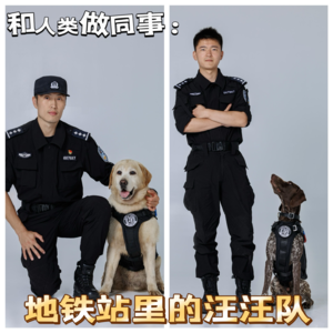 cover of episode EP.23 |【和人类做同事】系列：地铁站里的汪汪队