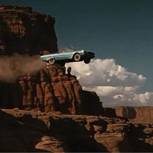 【二言其说】穿透都市水泥墙的末路狂花