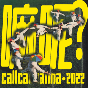 抗癌，出轨，仲裁，离婚，嘛呢你的2022 - callcall