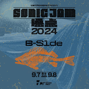 声厂电台SONIC JAM 2024 | 噪点音乐节限定歌单 B-SIDE