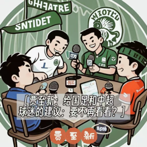 085 贾至新vol.2 | 给国足和中超球迷的建议：要不再看看？ feat. 新建文件夹fm