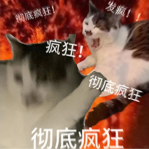 35. 为爱发疯那些年，癫婆竟是我自己？！