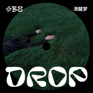 #38 清醒梦