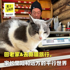 Vol.037 回老家&去新疆旅行，家长里短和远方的平行世界