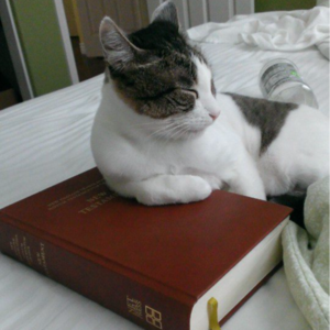 聊聊《天国志》的来龙去脉