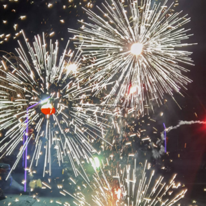 Vol 8 情人节特辑：情缘绽放，花语对照，情人节的诗与远方