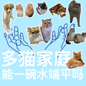 vol.2 多猫家庭能够一碗水端平吗