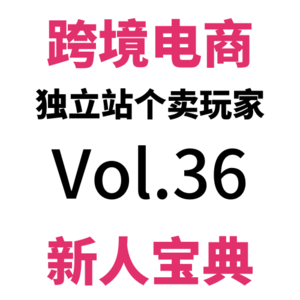 Vol36.全网最全：一篇讲透跨境电商独立站收单、收款、提款！如何开通Shopify Payments
