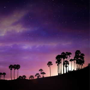 如何高效的学习浪漫