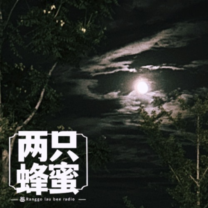 cover of episode Vol.29 八月十五月儿明，一顿能吃仨月饼