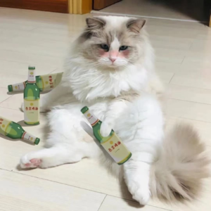 我们的后来