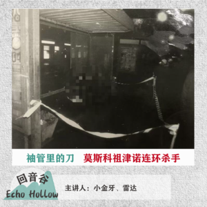 EP23 袖管里的刀 ｜ 莫斯科祖津诺连环杀手