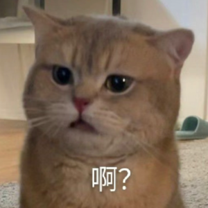 T. 小赵离职记 I —— 你以为自己是CEO吗?!