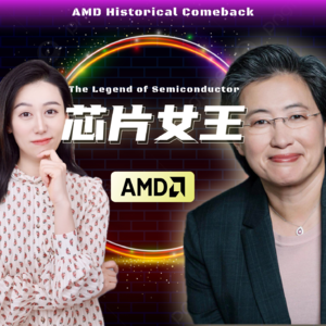 一口气了解AMD | 别光盯着英伟达了~