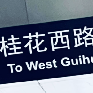 8 我发疯了,爽了,也伤了