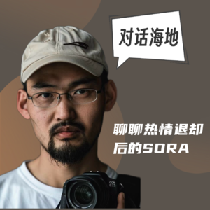 #39 对话海地｜聊聊热情退却后的SORA