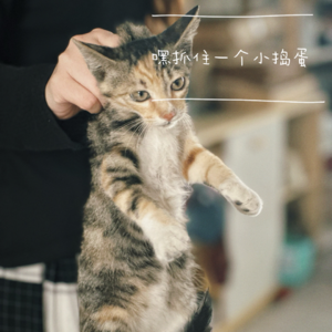 我啊，专治3种人！